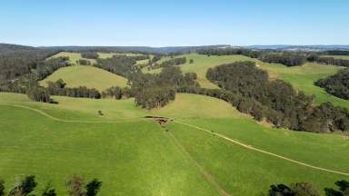 Farm Auction - NSW - Yarrowitch - 2354 - Jamberoo, Walcha - Yarrowitch: An outstanding large scale backgrounding / fattening opportunity  (Image 2)