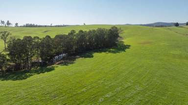 Farm Auction - NSW - Yarrowitch - 2354 - Jamberoo, Walcha - Yarrowitch: An outstanding large scale backgrounding / fattening opportunity  (Image 2)