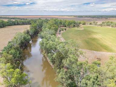 Farm For Sale - NSW - Gin Gin - 2823 - An irrigated and dryland cropping property on the banks of the Macquarie River  (Image 2)