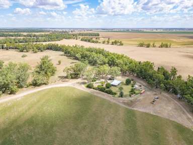 Farm For Sale - NSW - Gin Gin - 2823 - An irrigated and dryland cropping property on the banks of the Macquarie River  (Image 2)