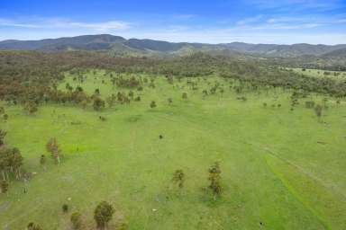 Farm For Sale - QLD - Kilkivan - 4600 - CATTLE BREEDING BLOCK ON 733 ACRES IN 7 TITLES  (Image 2)