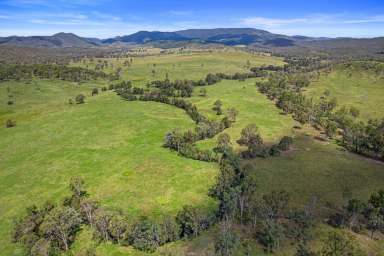 Farm For Sale - QLD - Oakview - 4600 - PRIME GRAZING COUNTRY  (Image 2)