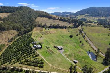 Farm For Sale - QLD - Marys Creek - 4570 - KELICO PARK MARYS CREEK - WHERE THE INCOME POSSIBILITIES ARE ENDLESS  (Image 2)