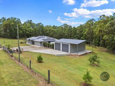 Farm For Sale - QLD - Imbil - 4570 - Modern Country Living in the Heart of the Mary Valley  (Image 2)