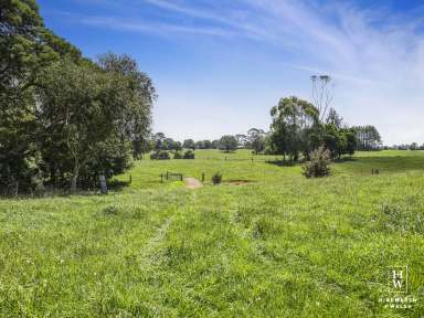 Farm For Sale - NSW - Robertson - 2577 - Productive Grazing Property - 2 Separate Titles  (Image 2)