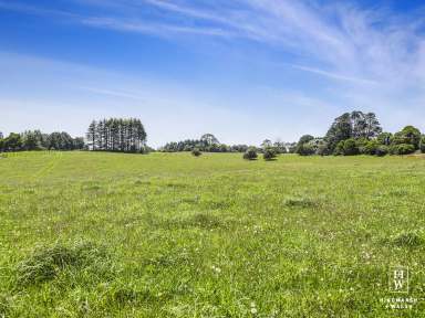 Farm For Sale - NSW - Robertson - 2577 - Productive Grazing Property - 2 Separate Titles  (Image 2)