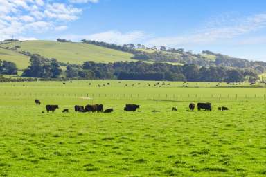 Farm For Sale - VIC - Bass - 3991 - Bass Coast Opportunity  (Image 2)