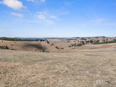 Farm For Sale - VIC - Ranceby - 3951 - Grazing block - close to town  (Image 2)