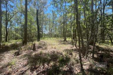 Farm For Sale - QLD - Downsfield - 4570 - ESCAPE THE CITY - YOUR COUNTRY PARADISE AWAITS!  (Image 2)