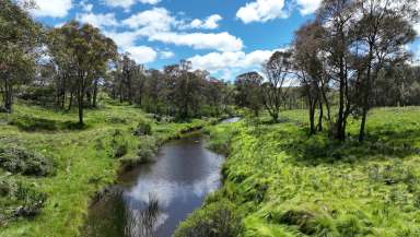 Farm For Sale - NSW - Red Range - 2370 - Millencourt, Red Range eastern New England.  (Image 2)