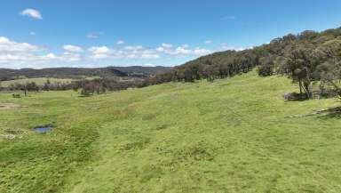 Farm For Sale - NSW - Red Range - 2370 - Millencourt, Red Range eastern New England.  (Image 2)