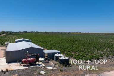 Farm For Sale - SA - Sunlands - 5322 - Prime Horticultural Opportunity  (Image 2)