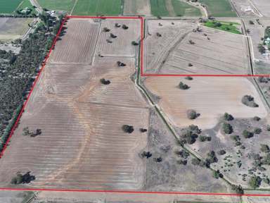 Farm For Sale - VIC - Bamawm - 3561 - Prime Irrigated Cropping & Grazing Opportunity – 52.7ha (130 Acres)  (Image 2)