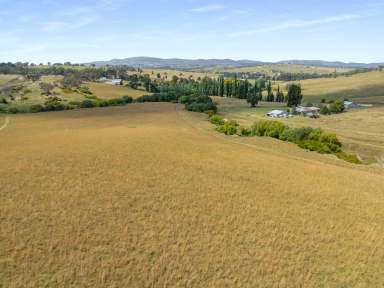 Farm Auction - NSW - Wambool - 2795 - Idyllic Smaller Farm  (Image 2)