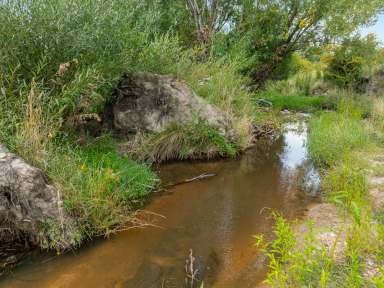 Farm Auction - NSW - Wambool - 2795 - Idyllic Smaller Farm  (Image 2)