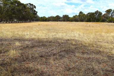 Farm Auction - NSW - Jindera - 2642 - WELL LOCATED LIFESTYLE PROPERTY       -                    8.77*Acres/3.55*Ha  (Image 2)