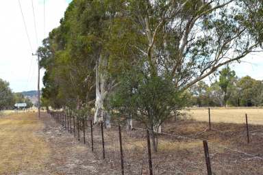 Farm Auction - NSW - Jindera - 2642 - WELL LOCATED LIFESTYLE PROPERTY       -                    8.77*Acres/3.55*Ha  (Image 2)