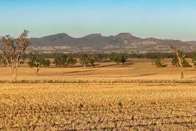 Farm Auction - NSW - Jindera - 2642 - OUTSTANDING RURAL LIFESTYLE PROPERTY - 140.5* Acres/56.86*Ha  (Image 2)