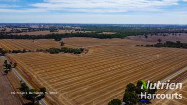 Farm Auction - VIC - Kotupna - 3638 - Kotupna Cropping Properties - AUCTION  (Image 2)