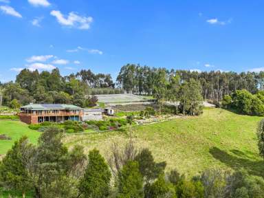 Farm For Sale - VIC - Wooreen - 3953 - A LIFESTYLE OASIS WITH INCOME POTENTIAL!  (Image 2)