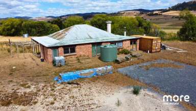 Farm For Sale - TAS - Colebrook - 7027 - Home Hill Cottage  (Image 2)