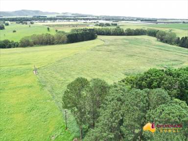 Farm For Sale - QLD - Atherton - 4883 - Atherton Tablelands Irrigated Farm Portfolio  (Image 2)