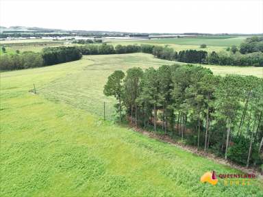 Farm For Sale - QLD - Atherton - 4883 - Atherton Tablelands Irrigated Farm Portfolio  (Image 2)