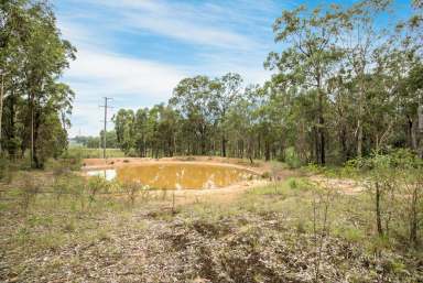 Farm For Sale - NSW - Belford - 2335 - Tranquil Country Living in the Heart of the Hunter  (Image 2)