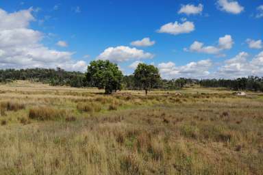 Farm For Sale - NSW - Texas - 4385 - Productive Grazing Country With Ample Water  (Image 2)