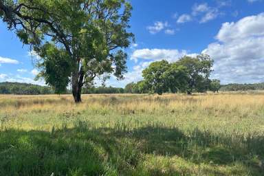 Farm For Sale - NSW - Texas - 4385 - Productive Grazing Country With Ample Water  (Image 2)