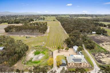 Farm For Sale - SA - Nuriootpa - 5355 - Rich history, passive income opportunities and the versatility to suit any lifestyle!  (Image 2)