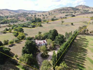 Farm For Sale - NSW - Gundagai - 2722 - Trinity Lee  (Image 2)