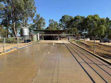 Farm For Sale - VIC - Koondrook - 3580 - OUTSTANDING KOONDROOK DAIRY FARM  (Image 2)