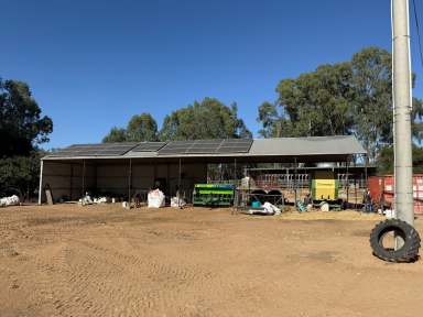 Farm For Sale - VIC - Koondrook - 3580 - OUTSTANDING KOONDROOK DAIRY FARM  (Image 2)