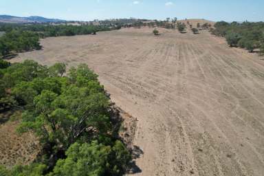 Farm For Sale - NSW - Cootamundra - 2590 - END OF AN ERA AFTER 65* YEARS  (Image 2)