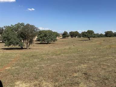 Farm For Sale - NSW - Cootamundra - 2590 - END OF AN ERA AFTER 65* YEARS  (Image 2)