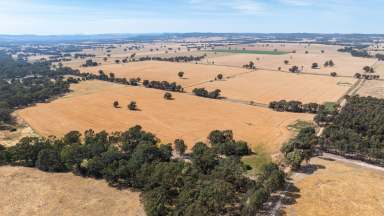 Farm For Sale - VIC - Lilliput - 3682 - URALLA AGGREGATION - Cropping and livestock production  (Image 2)