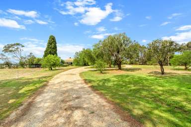 Farm For Sale - VIC - Flynn - 3844 - Staplegrove - 232 Acres  (Image 2)