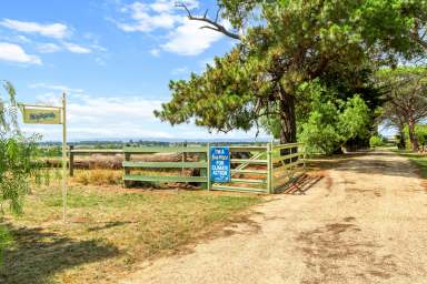 Farm For Sale - VIC - Flynn - 3844 - Staplegrove - 232 Acres  (Image 2)