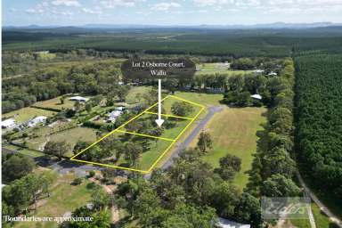 Farm For Sale - QLD - Wallu - 4570 - Rare As Hens Teeth!  (Image 2)