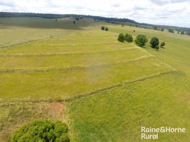 Farm For Sale - QLD - Coolabunia - 4610 - First Class "Mt Crawsey Aggregation"  (Image 2)