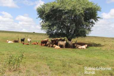 Farm For Sale - QLD - Coolabunia - 4610 - First Class "Mt Crawsey Aggregation"  (Image 2)