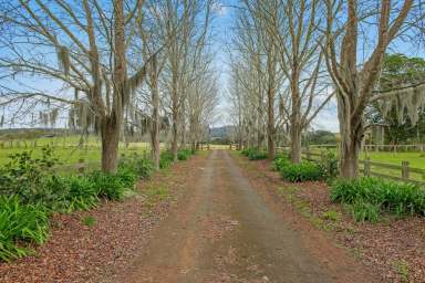 Farm For Sale - NSW - Hartys Plains - 2446 - Elegant Country Living on 33.58ha of Prime Riverfront Acreage  (Image 2)