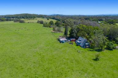 Farm For Sale - NSW - Fernbank Creek - 2444 - BUILD YOUR RURAL RETREAT ON THIS HUGE PARCEL OF LAND  (Image 2)