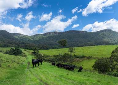 Farm For Sale - NSW - Huntley - 2530 - Captivating Country Estate  (Image 2)