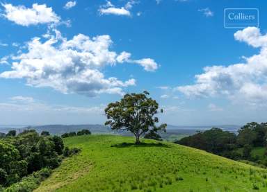 Farm For Sale - NSW - Huntley - 2530 - Captivating Country Estate  (Image 2)