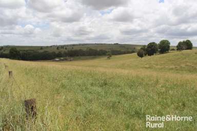 Farm For Sale - QLD - Coolabunia - 4610 - Quality 149 Acres Volcanic Soil !!!  (Image 2)