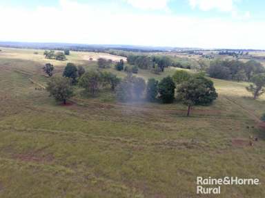 Farm For Sale - QLD - Coolabunia - 4610 - Quality 149 Acres Volcanic Soil !!!  (Image 2)