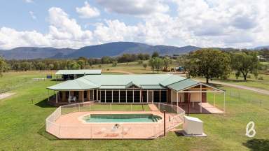 Farm For Sale - NSW - Singleton - 2330 - RURAL BEAUTY | LARGE FAMILY HOME  (Image 2)