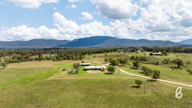 Farm For Sale - NSW - Singleton - 2330 - RURAL BEAUTY | LARGE FAMILY HOME  (Image 2)